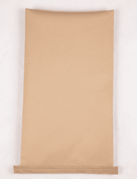 Brown kraft bag — blank